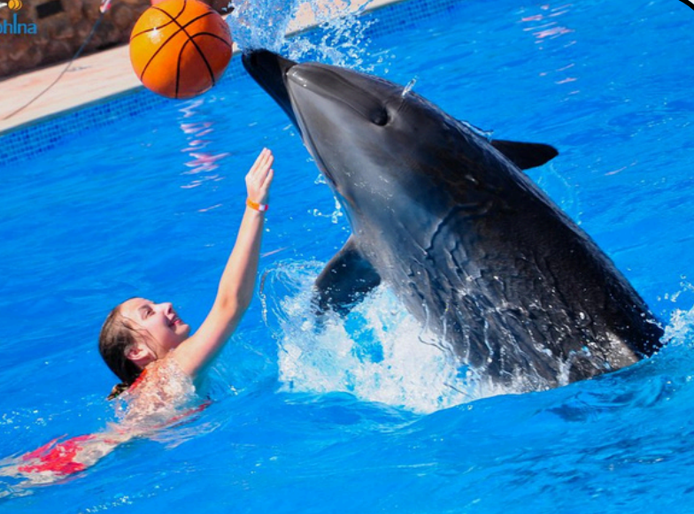 Screenshot 2025-11-26 121321