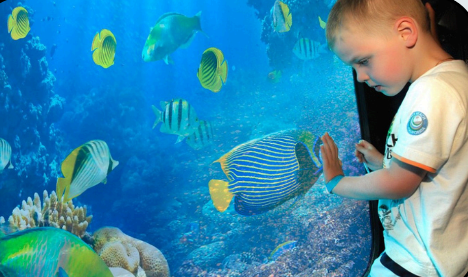 Screenshot 2025-11-26 121458