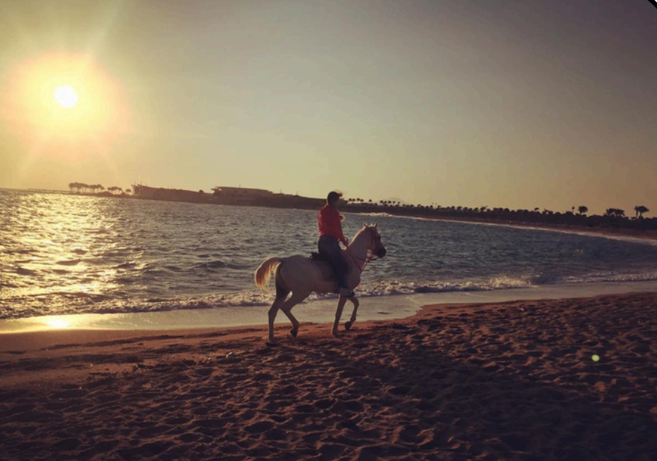 Screenshot 2025-11-26 122517